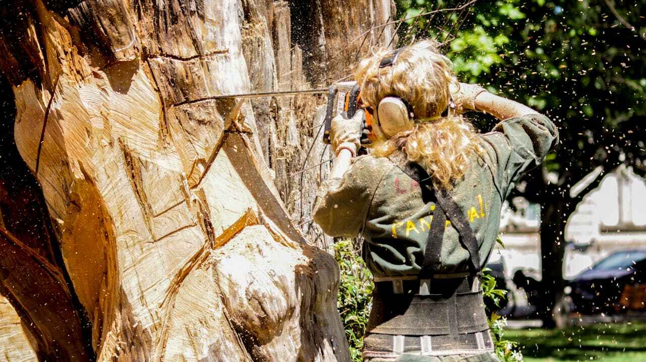 Lake Wazeecha, WI Tree Service Company